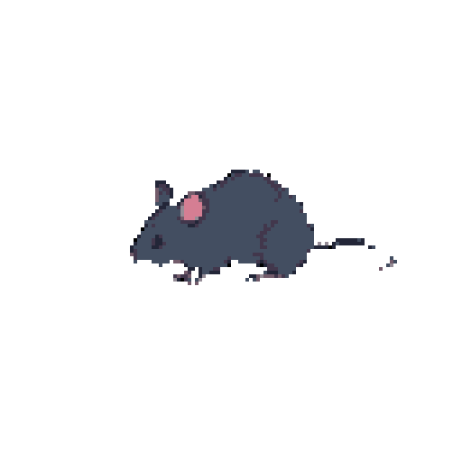 A single rat in profile, facing right, with a muted grayish-purple body and a bright pink ear, against a dark grayish-blue background.