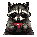 A raccoon, facing forward, holds a bright red object in its paws.