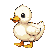 A fluffy white duckling with large eyes and an orange beak waddles from right to left.