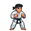A determined karateka in a white gi and black belt stands in a classic fighting stance, fists clenched, ready for combat.