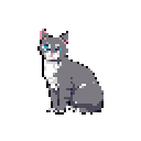 Serene Gray Cat Portrait, Blue Eyes, Muted Tones