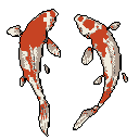 Two mirrored, pixelated koi fish in vibrant orange-red and creamy off-white swim towards each other against a dark grey background.