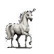 A majestic white horse with a flowing mane and tail, standing alert with its head held high.