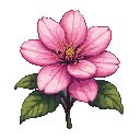 A delicate pink flower with yellow stamens and green leaves on a black background.