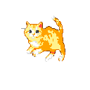 A playful light orange and white tabby cat leaps with its body contorted and tail arched upwards.