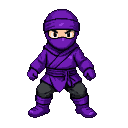 A ninja in a purple gi and grey trousers stands with a determined gaze.