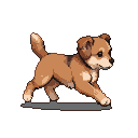 Brown and white terrier-mix dog in mid-stride, tail high and wagging.