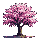 A cherry blossom tree with a dark, gnarled trunk and branches covered in pink petals, set against a black background with fallen blossoms on the ground.