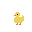 Yellow duckling with orange beak and brown feet on black background.