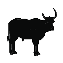 A black buck in profile, facing left, with curved horns raised.