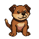A small, brown dog with floppy ears and wide, dark eyes sits with its tail curled.