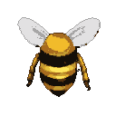 A solitary bee with segmented golden yellow and black body, outstretched white wings, and tucked legs, against a black background.