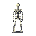 Ethereal Skeleton: Minimalist Macabre Portrait