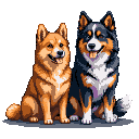 Two dogs, an orange Shiba Inu and a black and white Border Collie, sit together happily.