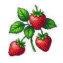 Three ripe strawberries with yellow seeds and green leaves on a black background.