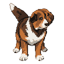 A tri-colored dog, brown, white, and black, stands alert with its tail held high.