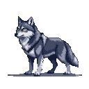A grey and white wolf stands in profile, its piercing yellow eyes alert.