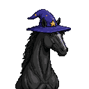 Majestic black horse wearing a purple wizard hat with golden stars, white blaze on snout.