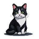 Tuxedo cat with green eyes and perked ears, facing forward.