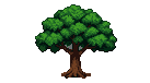 A majestic, leafy tree with a dense canopy of greens and a textured brown trunk.