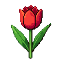 A single red tulip with two green leaves against a transparent background.