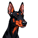 Doberman Pinscher with dark coat and tan markings, head turned slightly right, alert eyes, erect ears.