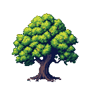 A full-bodied tree with a thick, gnarled trunk and a dense canopy of vibrant green leaves, with hints of yellow and orange.