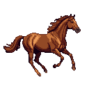 A chestnut horse gallops, its muscles defined, with a flowing mane and tail against a black background.