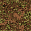 Earthy brown soil with patches of muted green vegetation, viewed from above.