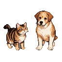 A tabby cat and a fluffy puppy sit facing each other with gentle expressions.