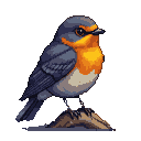 A robin with an orange breast perches on a textured branch, its black eye alert.