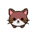 A round-faced cat with brown and dusty rose fur, a white muzzle and chest, and large dark eyes.