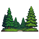 A dense evergreen forest with dappled sunlight on a mossy ground and a winding path.