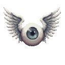A teal-eyed eyeball with feathered angel wings spread wide.