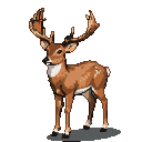 A majestic stag with large, upward-reaching antlers, its warm, dappled coat suggesting a creature of the wild.