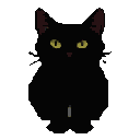 A black cat with luminous yellow eyes sits against a dark background.