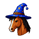 Brown horse wearing a blue wizard hat with golden stars and a buckle.