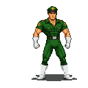 Stern commando in a green uniform, white gloves, and boots, at attention.