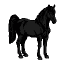 Grayscale pixel art Pampa horse in profile, dark coat, flowing mane and tail, on a transparent background.