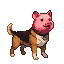 A dog with a pig's head, featuring a brown and black canine body and a pink pig head with dark eyes and an upturned snout, stands alert.