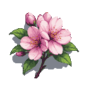 A cluster of soft pink cherry blossoms with vibrant orange stamens and textured green leaves against a transparent background.