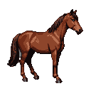 A brown horse with a dark mane and tail stands alert, facing slightly right.