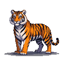 A majestic tiger with orange and black stripes, standing alert.