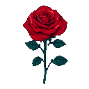 A vibrant red rose with velvety petals and a slender green stem with leaves against a black background.