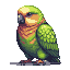 A plump, emerald green kakapo parrot with a peachy-orange chest, looking forward with a curious expression, perched on a dark surface against a black background.