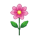 A vibrant pink flower with a yellow center and two green leaves on a stem.