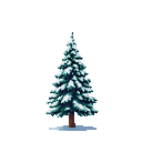 Solitary evergreen tree covered in heavy white snow.