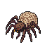 A menacing, eight-legged spider with glowing orange eyes and a bulbous, honeycomb-patterned sac on its back.