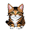 Tabby cat with orange and brown stripes, white chest and paws, and bright green eyes, sitting on a black background.