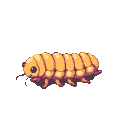 Plump burnt-yellow tenebrio larva with dark eyes and antennae on a transparent background.